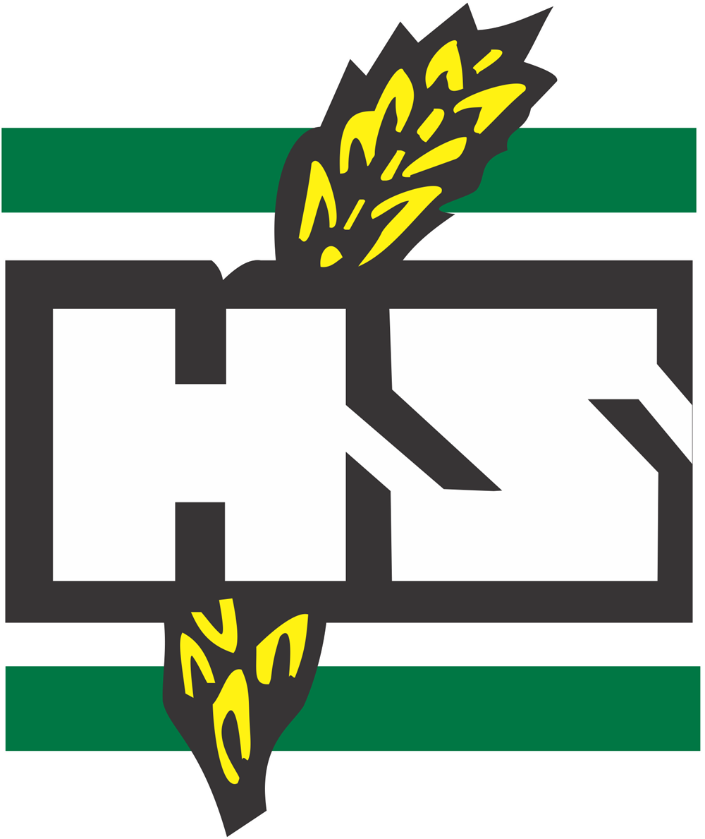 Haji Sons Logo